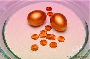 萬和電氣發(fā)季報股價跌停第三季度凈利同比降48%