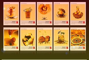 吸引蕪湖產(chǎn)業(yè)發(fā)展“合伙人”2021蕪湖私募股權(quán)投資大會(huì)舉行吳楚名區(qū)聚創(chuàng)新