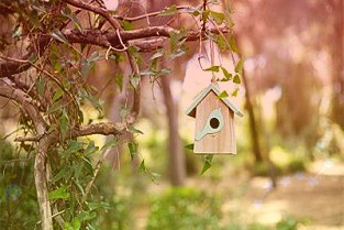 保時(shí)捷距離獨(dú)立上市更近了一步銷售回報(bào)率在15%以上