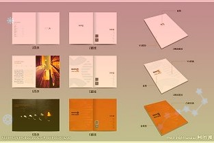 雪松發(fā)展2月23日晚給出了上述明確回復(fù)