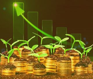 提前布局才迎來了收獲期金額超1.7億元
