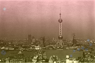 外匯局網(wǎng)站發(fā)布我國(guó)新外匯儲(chǔ)備規(guī)模數(shù)據(jù)